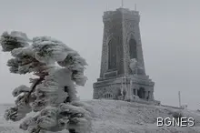 Шипка побеля