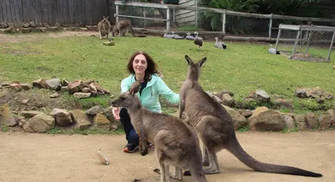 Австралия: Големият национален парк &bdquo;Отуей&ldquo;, д-р Марияна Георгиева с кенгури. 
