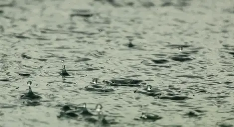 Валежите продължават в следобедните часове