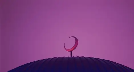 Германия иска Саудитска Арабия да спре да финансира фундаменталистки джамии в чужбина Германия иска Саудитска Арабия да спре да финансира фундаменталистки джамии в чужбина