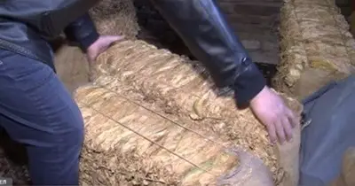 Производители: Тютюнът ни е в пъти по-качествен от 2014 г., а го изкупуват на същите цени