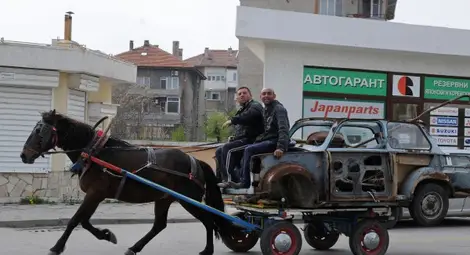 Веганите се загрижиха и за конете, неетично било да теглят каруци