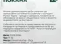 Румен Радев започва от Русе националната си предизборна обиколка