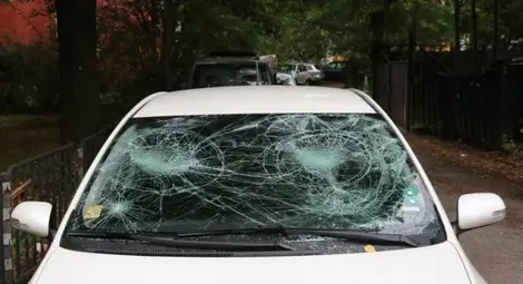 Има данни, че Елена Мицева също е извършила престъпление при блокадата на бул. "Ситянково"