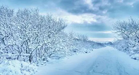 Прогноза за времето за 15 декември 2012 г. Прогноза за времето за 15 декември 2012 г.