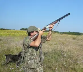 Откриват ловния сезон на пъдпъдъци и гургулици Откриват ловния сезон на пъдпъдъци и гургулици