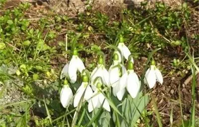 Утре ще е топло, но с валежи