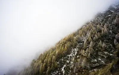 Полски доклад: Смогът убива, най-тревожна е ситуацията в България