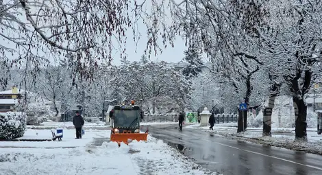 Снимка: БТА