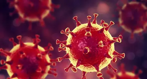 Ковид в пет училища разпусна паралелки Ковид в пет училища разпусна паралелки