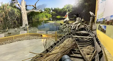 "Екомузей. Първите 10 години" - разказ от първо лице за дългия път и осъществената мечта