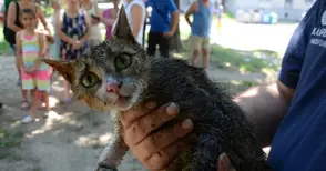 Съседи гонят клошар след пожар в превърнатия му в сметище дом