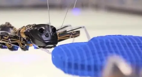 Бионични мравки ще са утрешните работници във фабрики