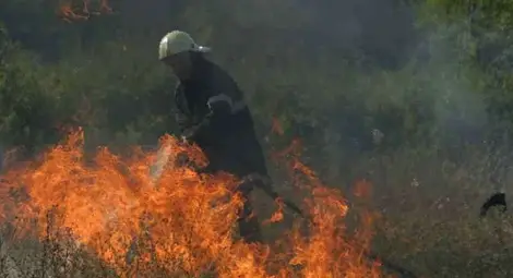 Затегнат контрол и заплаха за отпусканите субсидии държат огъня далеч от житото