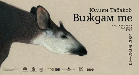 Художествена галерия – Русе представя проекта „Виждам те“ на Юлиян Табаков Художествена галерия – Русе представя проекта „Виждам те“ на Юлиян Табаков