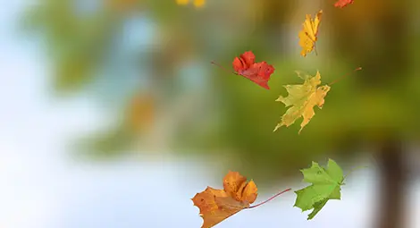 Облачно в Западна България, в планините ще превали