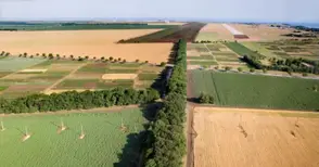 Фонд „Земеделие“ изисква документи за 9456 двойно декларирани парцела