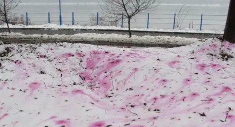 Русенци звънят за червен сняг на телефон 112