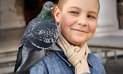 Хендел и Шопен ще звучат в помощ на болно дете от Музикалното