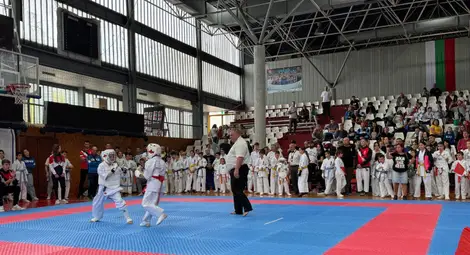 Над 170 състезатели по карате киокушин-кан се борят за националната купа "Пристис" в зала "Дунав" в Русе Над 170 състезатели по карате киокушин-кан се борят за националната купа "Пристис" в зала "Дунав" в Русе