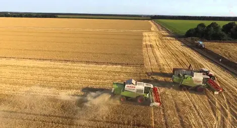 По-ниски добиви от есенниците отчитат русенските фермери