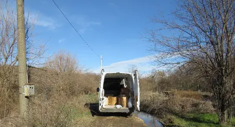 Двамата младежи с повдигнато обвинение за грабеж в с. Николово остават в ареста