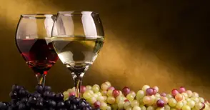 Конференция изследва виното като история и вдъхновение