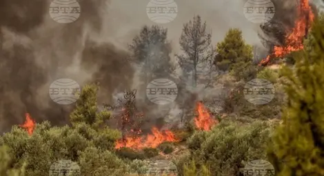 Снимка: БТА