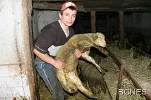 173 000 българи с името Георги 173 000 българи с името Георги