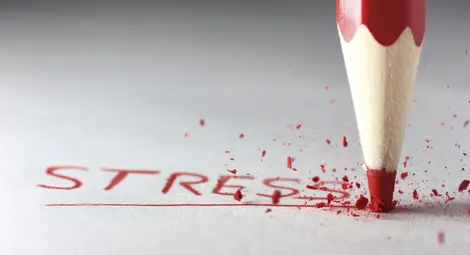 Снимка: Phatic-Photography.com 