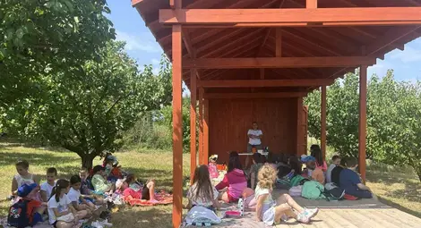 Овощната градина като класна стая &ndash; първи стъпки в света на овощарството