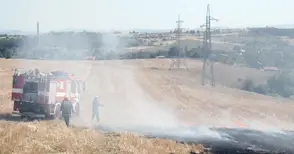 Ниви с пшеница и ечемик горяха в първия ден на лятото