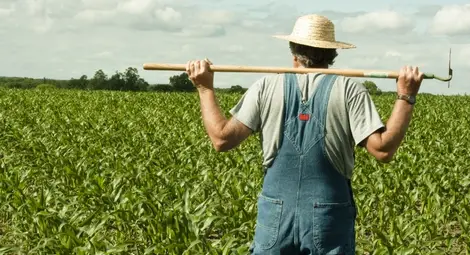 2300 земеделци избират  как да бъдат облагани