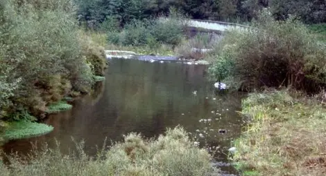 Пореден шок! Психично болна хвърли 4-месечното си бебе в река