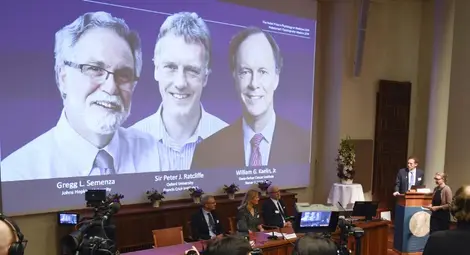 Връчиха Нобеловата награда за медицина