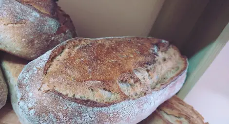 Просто хляб. Просто хляб ли?!