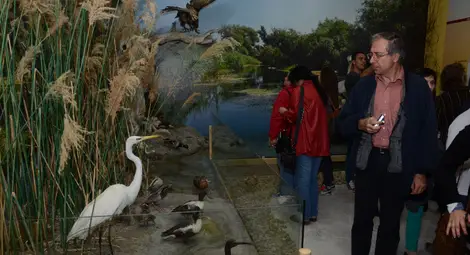 Екомузеят рекордьор по посещения през 2014-а