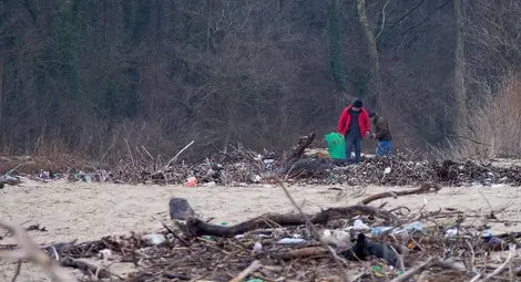 Устието на Камчия се превърна в борса за дърва /галерия/