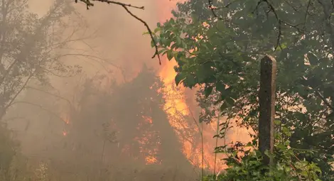 Пожарникари и доброволци спасиха от огън къщи в Николово, пламна и вилна зона до Русе Пожарникари и доброволци спасиха от огън къщи в Николово, пламна и вилна зона до Русе