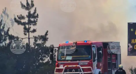 Снимка: БТА Снимка: БТА