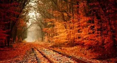 Второто циганско лято идва с 27 градуса! Второто циганско лято идва с 27 градуса!