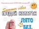 Започва лятната АНТИСПИН кампания „Предай нататък: лято без риск“, от началото на годината са открити нови 185 случая на ХИВ/СПИН