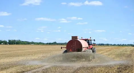 2000 земеделци от Русенско получават субсидии за площ