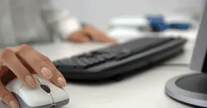 Статистиката изследва кой как ползва компютъра у дома