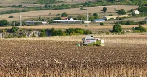 Рентите в Сливополско се консолидират около 60 лева