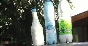 Солена глоба очаква уличен продавач на мляко