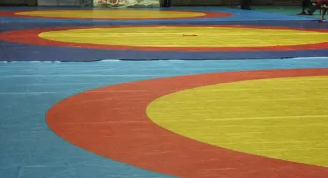 Борец на &bdquo;Юнак&ldquo; с бронз  на рейтингов турнир в Италия