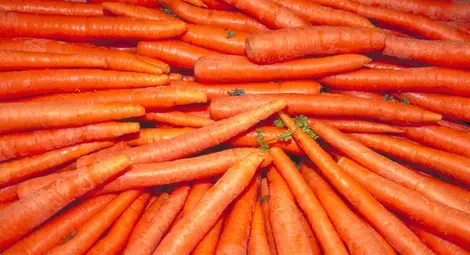 Морковите крият ключа към побеждаването на рака