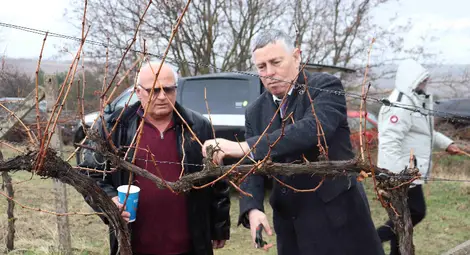 Станчо Цанков спечели конкурса за най-добро червено вино на Трифон Зарезан в Пиргово