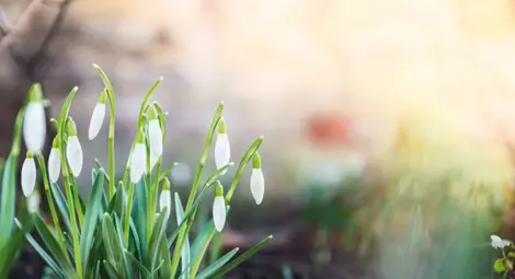 Метеоролог ни вдъхва надежда: Ще дойде ли скоро пролетта?